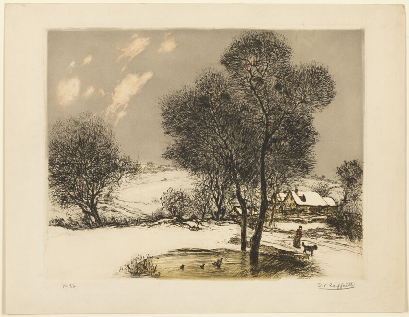 The Snow