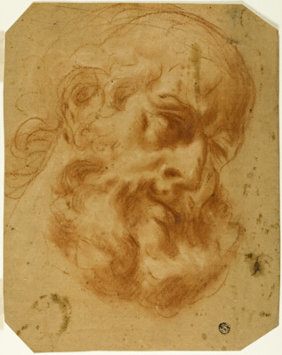Bearded Head