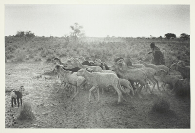 Nigeria
