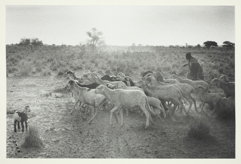 Nigeria