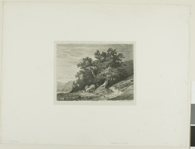 Alpine Landscape