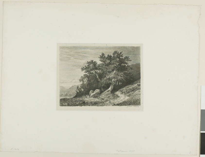 Alpine Landscape