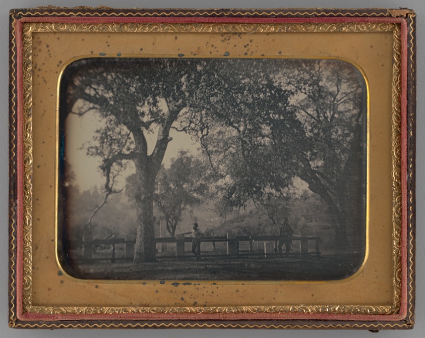 Untitled (Man Leaning Against a Fence in Front of a Cemetery)