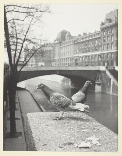 Petit-Pont, Paris