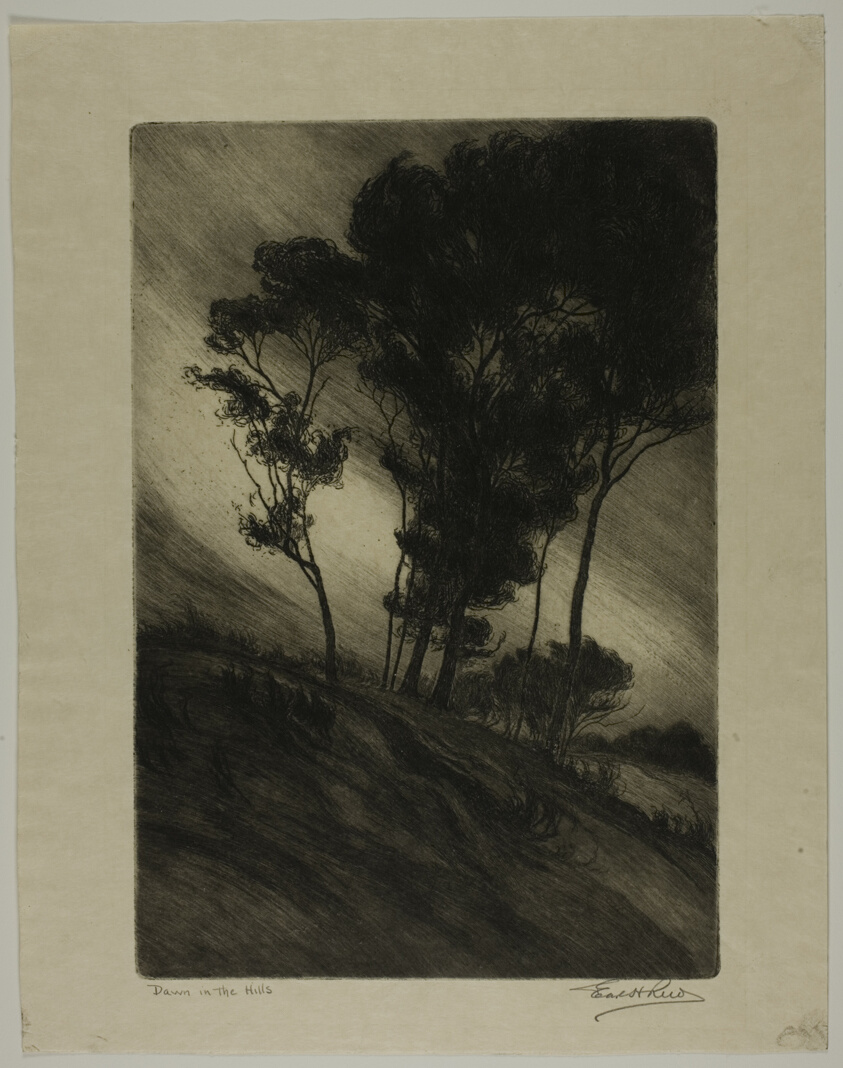 Dawn in the Hills