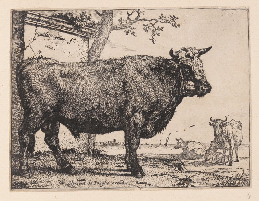 The Bull, from Various Oxen and Cows