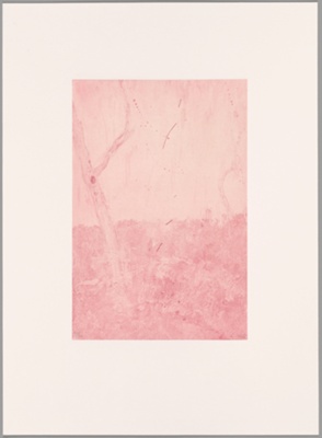 Xi Hu Nan Ping 西湖 南屏 1
