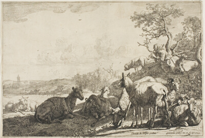 The Shepherd