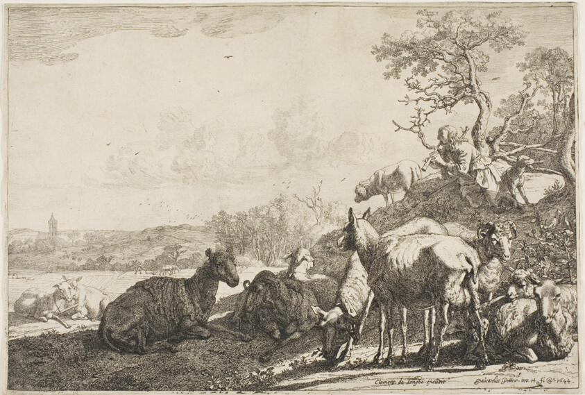 The Shepherd