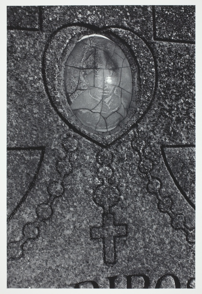 Untitled, 1975