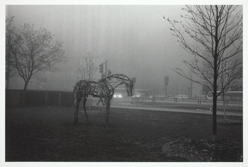 Chicago, D.B. Horse