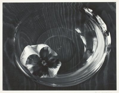 Pansy and Glass Bowl, Kentucky