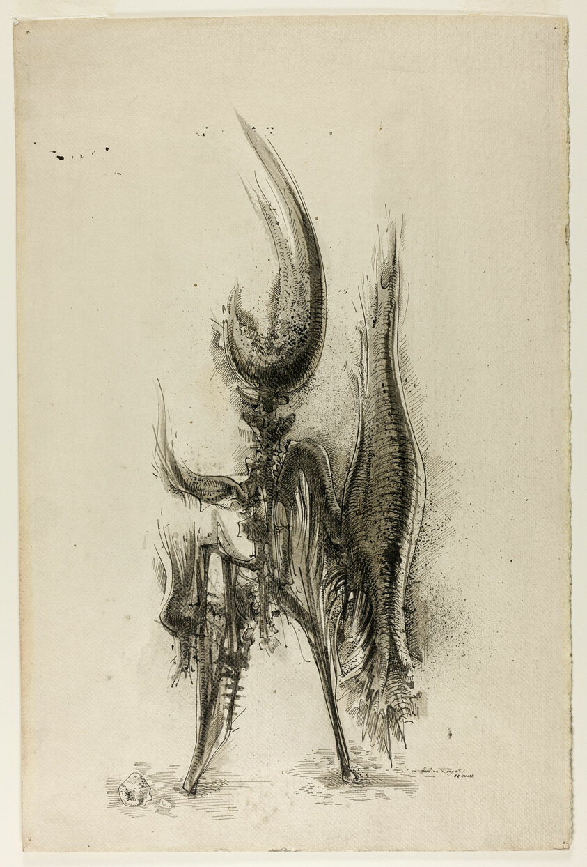 Fledgling (recto); Sketch of a Figure (verso)
