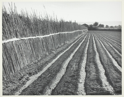 Field and Fence, Provence, France