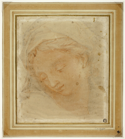 Woman's Head