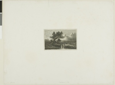 Alpine Landscape