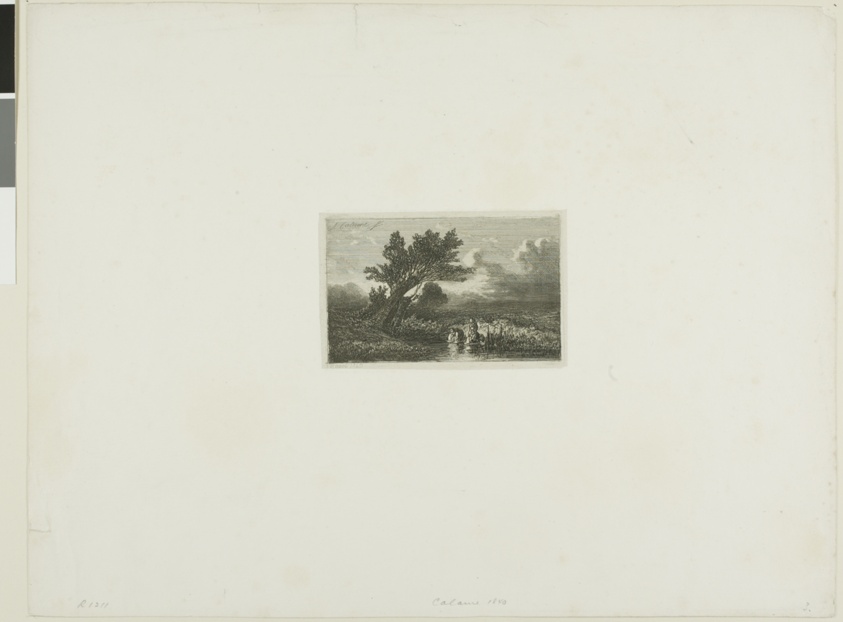 Alpine Landscape