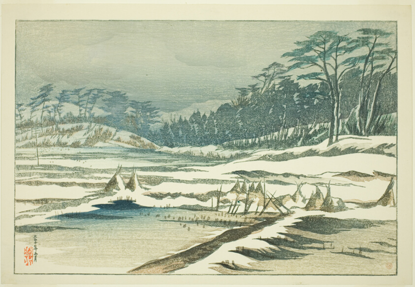 After the Snow Falls