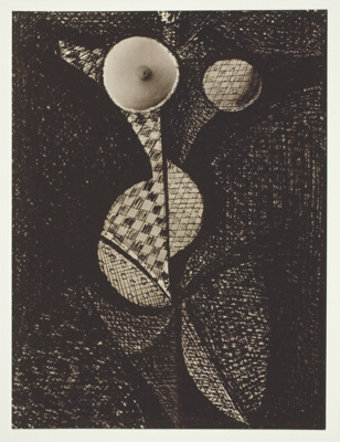 Fruit Woman (Femme-Fruit)