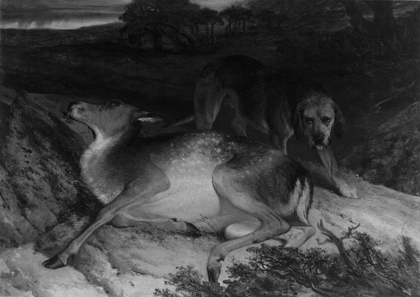 Wounded Stag and Dog
