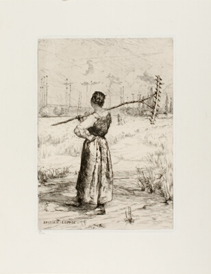 The Return from the Field