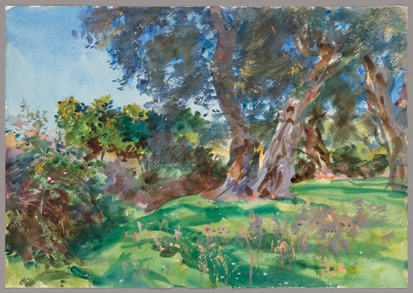 Olive Trees, Corfu