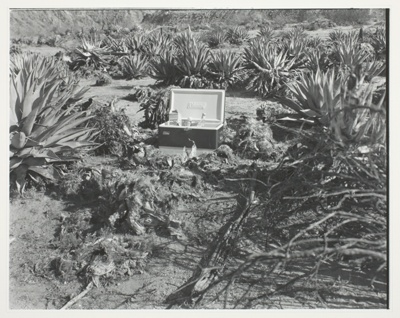 Coleman Cooler, Borrego Desert, CA