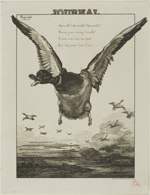 The Duck