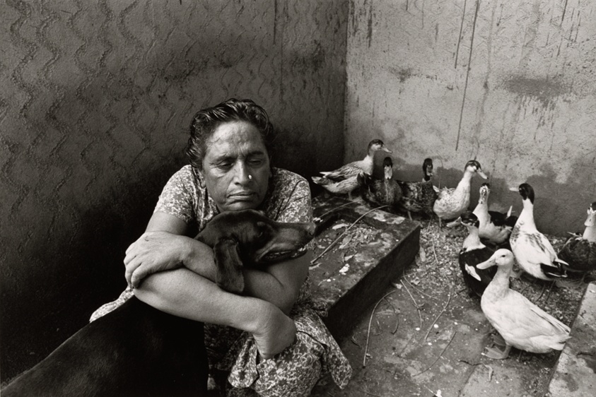 I started to dislike humans so much that I started to adore animals and made my family of animals. I had one Doberman, one monkey, four rabbits, two dozen ducks, from the series "Myself Mona Ahmed"