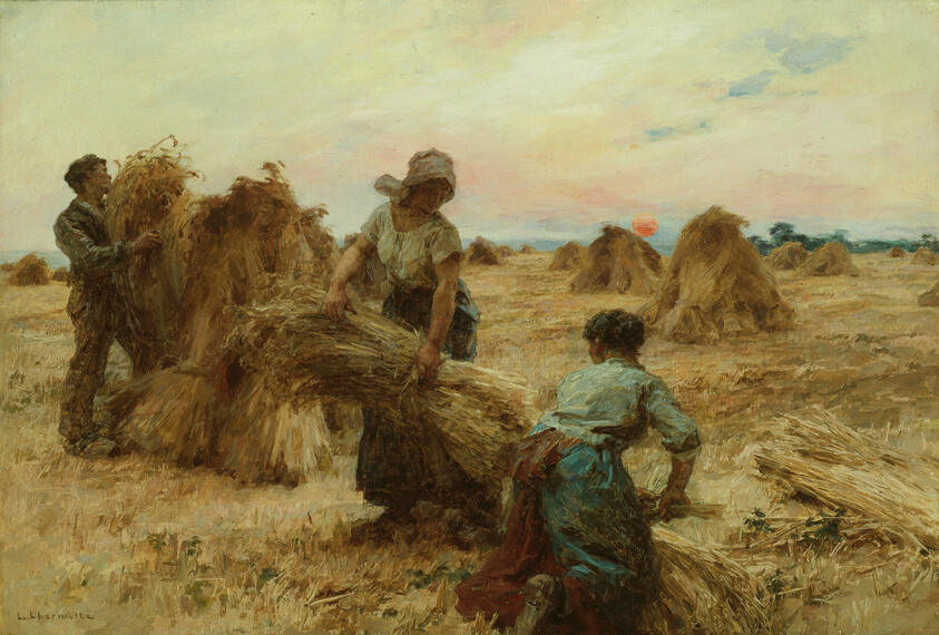 The Harvesters