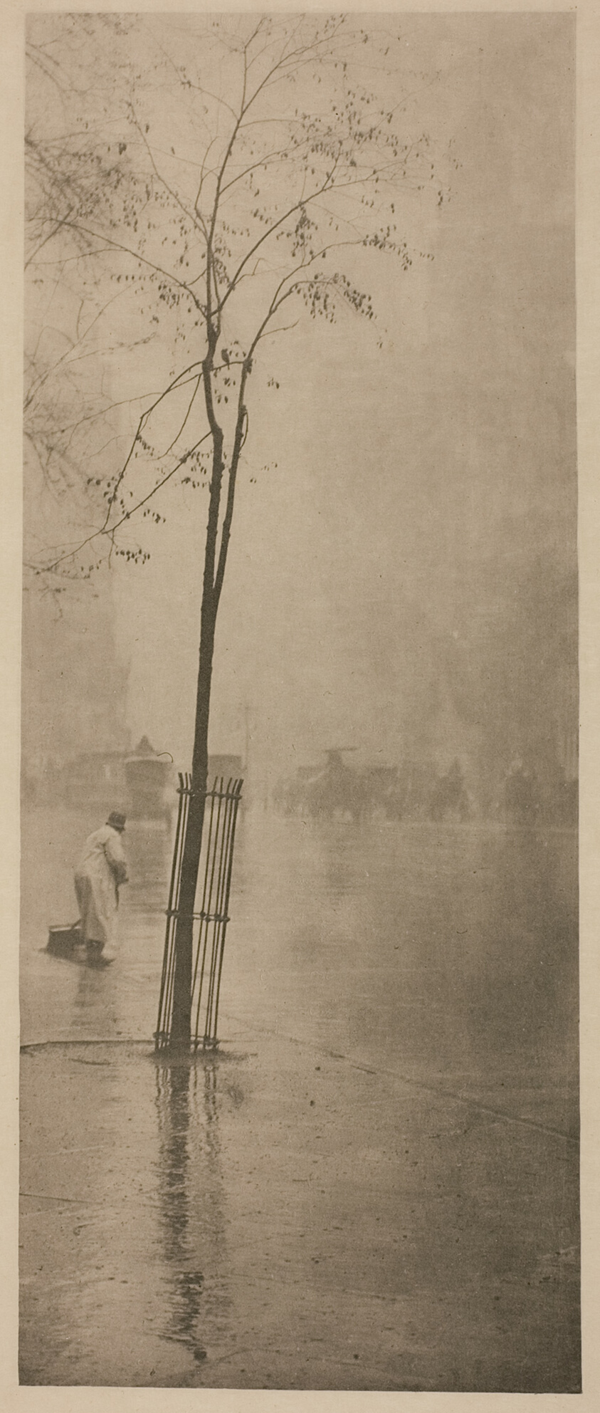 Spring Showers