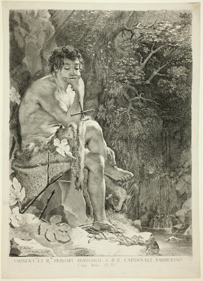 Saint John the Baptist in the Desert