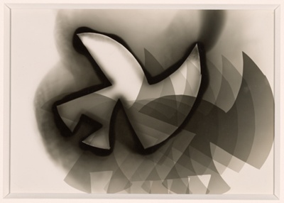 Untitled Photogram
