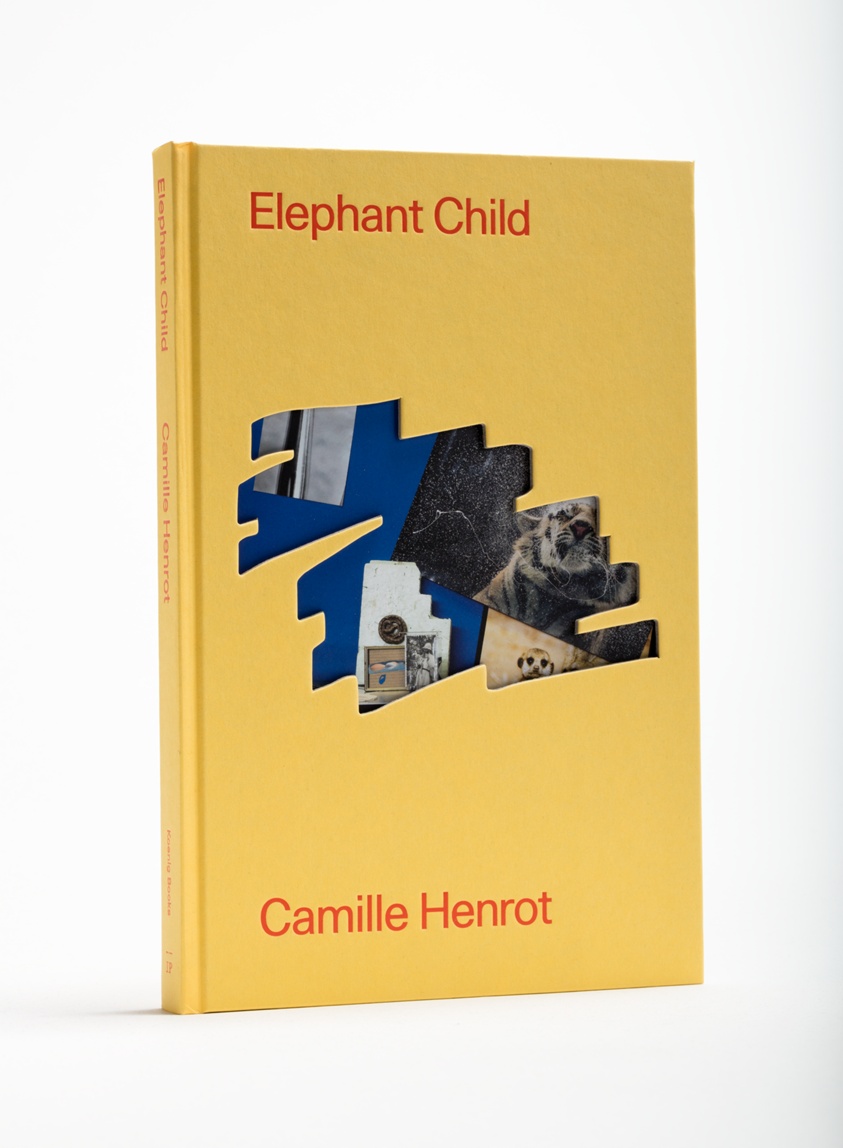 Elephant Child, by Camille Henrot