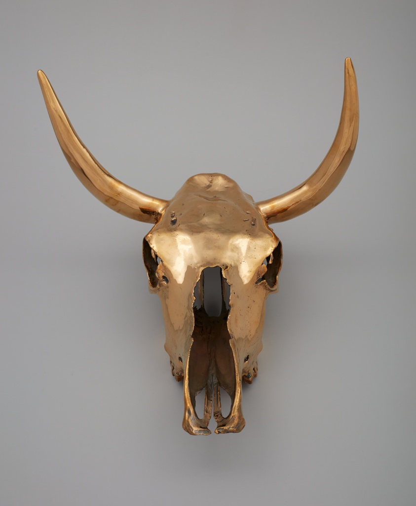 Steer Skull, Horned
