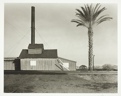 Powerhouse and Palm Trees, Near Lordsburg, New Mexico