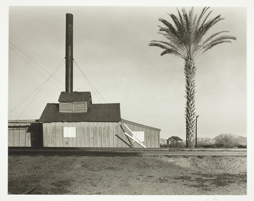 Powerhouse and Palm Trees, Near Lordsburg, New Mexico