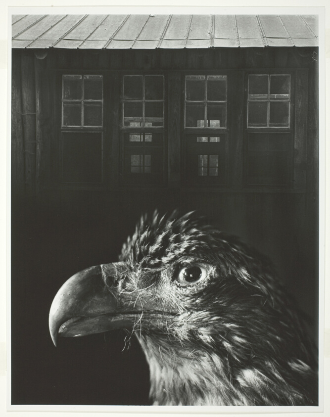 Bless Our Home and Eagle