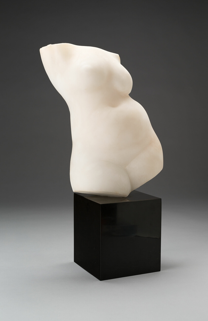 Torso