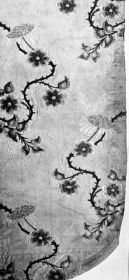 Fragment
