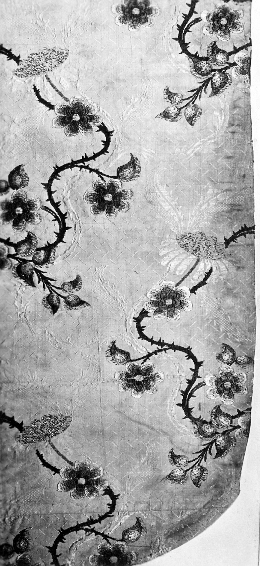 Fragment