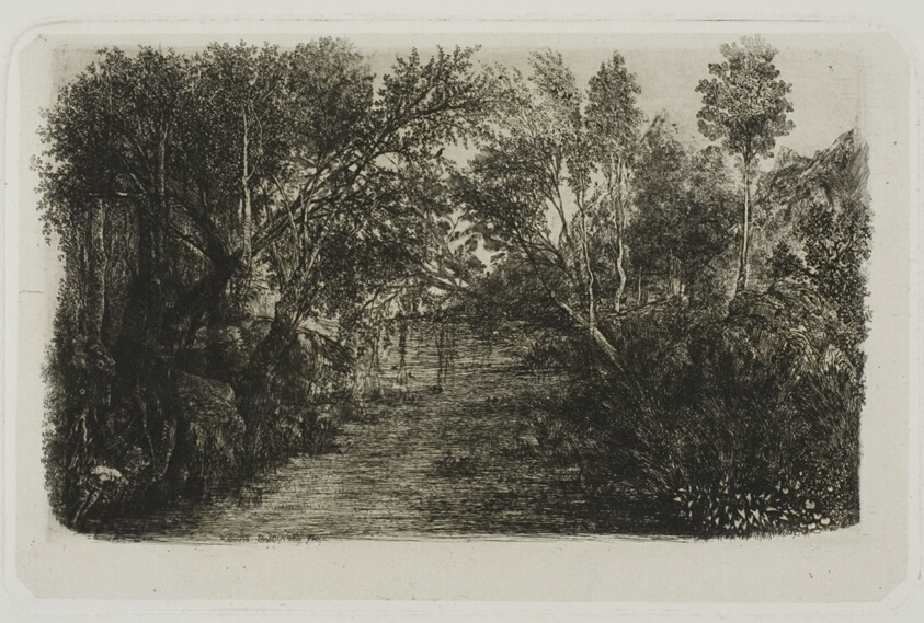 The Creek