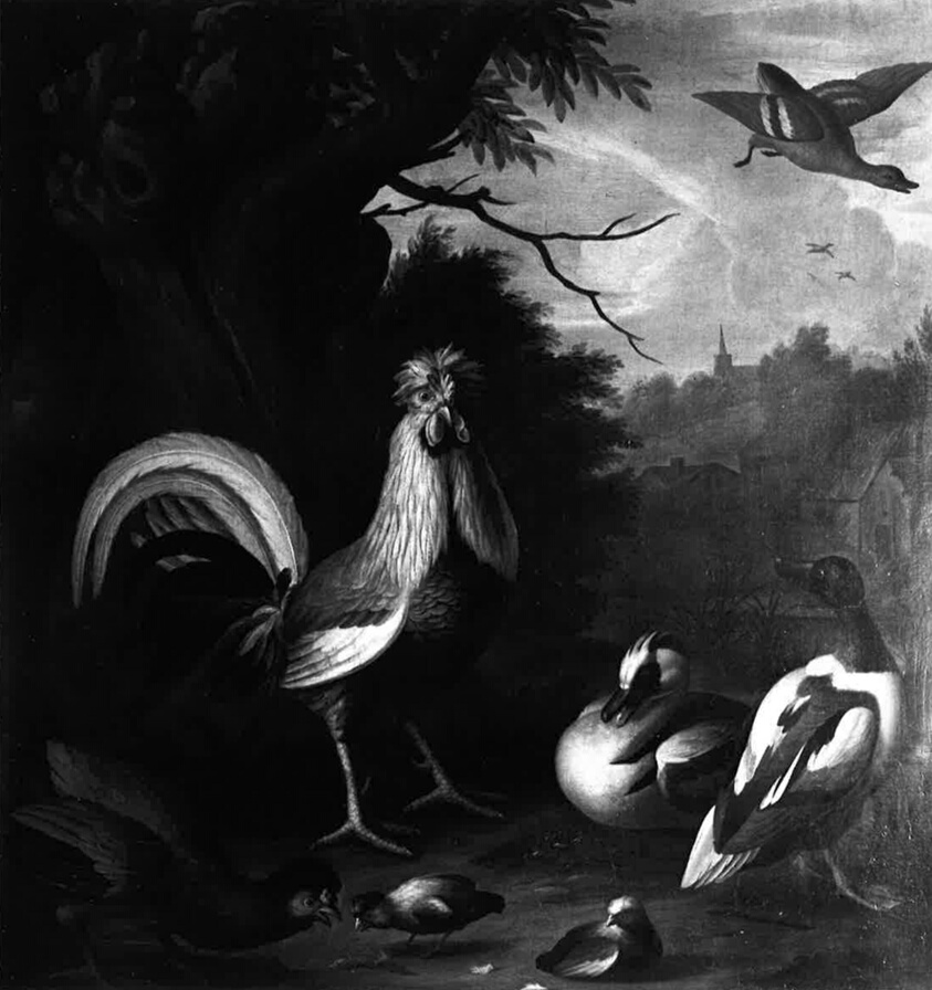 Birds in Landscape