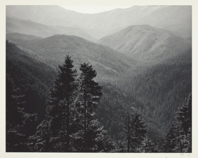 Olympic National Park, Washington: Valley of Light