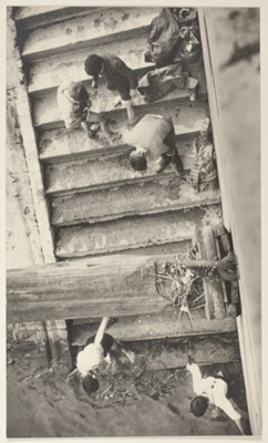 Children Playing on Stairs Leading to Seine River Bank