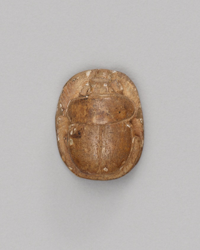 Scarab