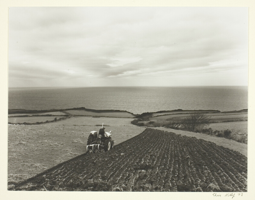 Man Ploughing, Dalby