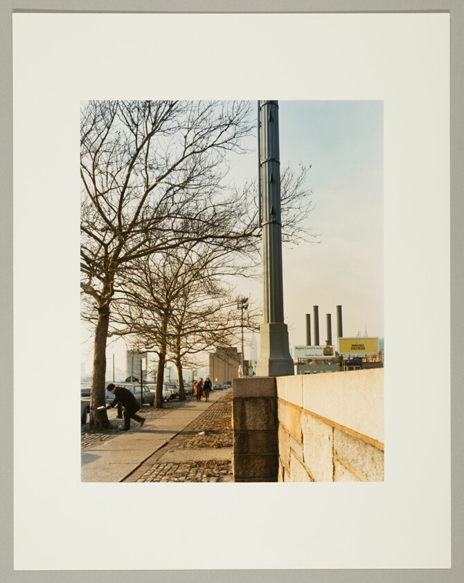 Man Measuring Trees, Queens, N.Y.