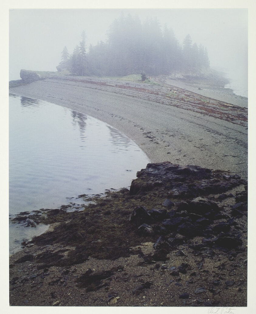 Double Beaches in Fog, Great Spruce Head Island, Maine