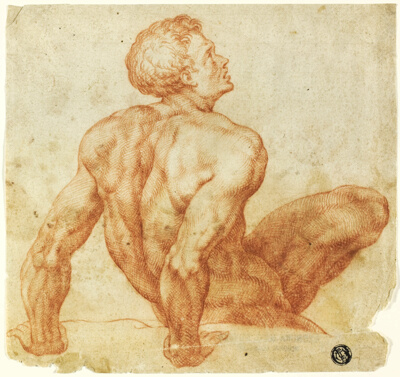 Seated Male Nude
